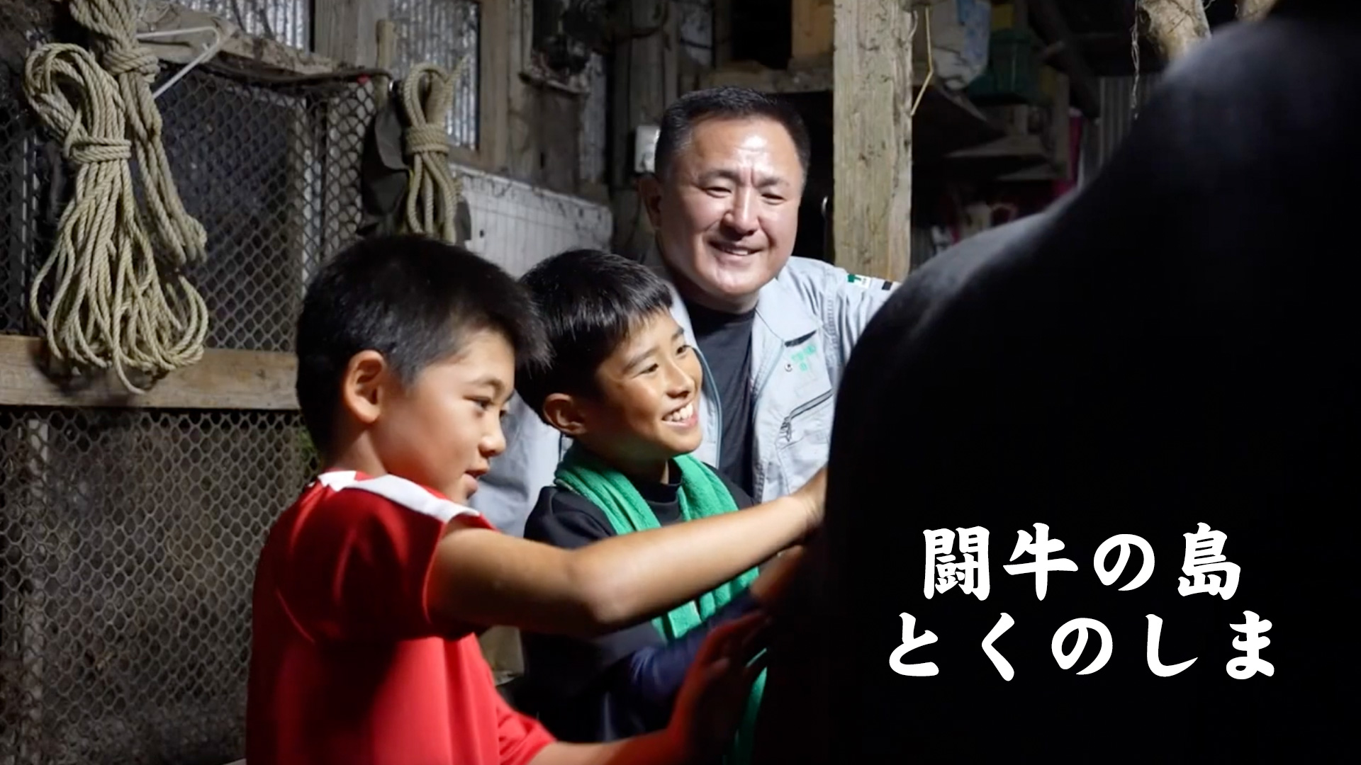 "Tokunoshima, the Island of Bullfighting"Picture of father with 2 boys taking care their bull.